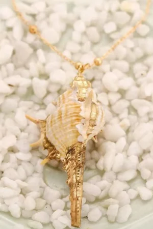Conch Shell Pendant Necklace>MICAS Sale
