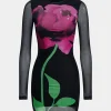 Floral Print Mesh Round Neck Long Sleeve Mini Dress>MICAS New