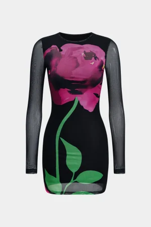 Floral Print Mesh Round Neck Long Sleeve Mini Dress>MICAS New