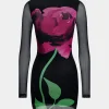 Floral Print Mesh Round Neck Long Sleeve Mini Dress>MICAS New