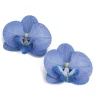 Phalaenopsis Orchid Flower Earrings>MICAS Fashion