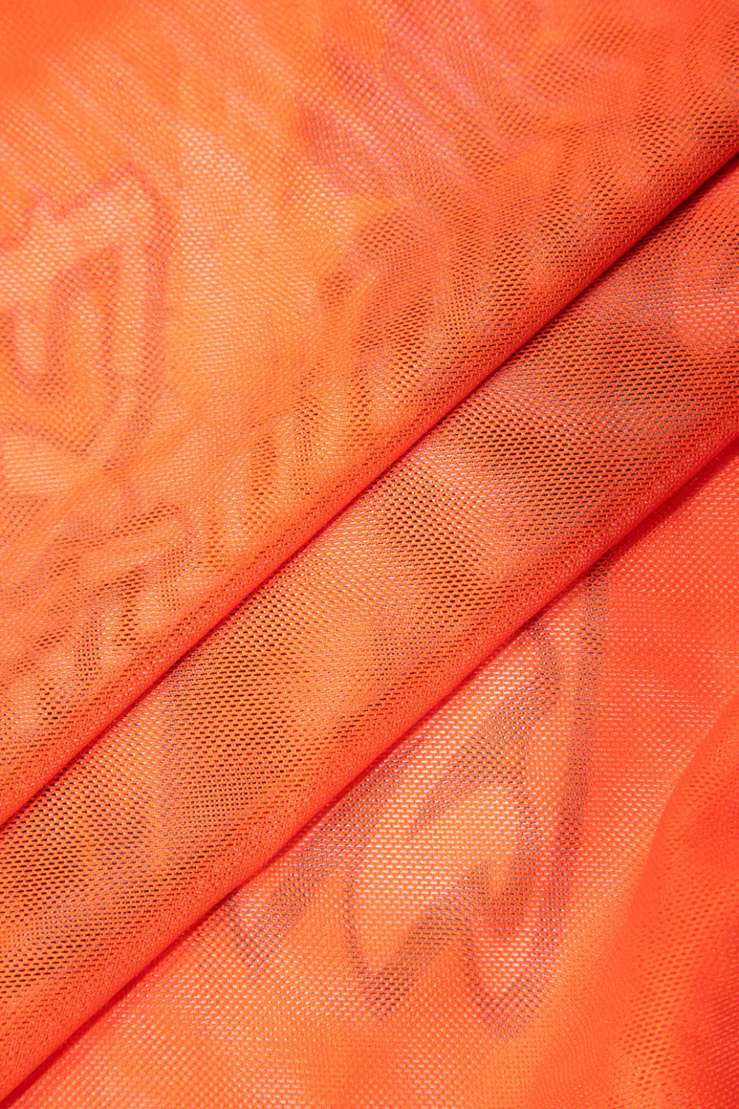 Print T-shirt And Tie Halter Bikini Set>MICAS Online